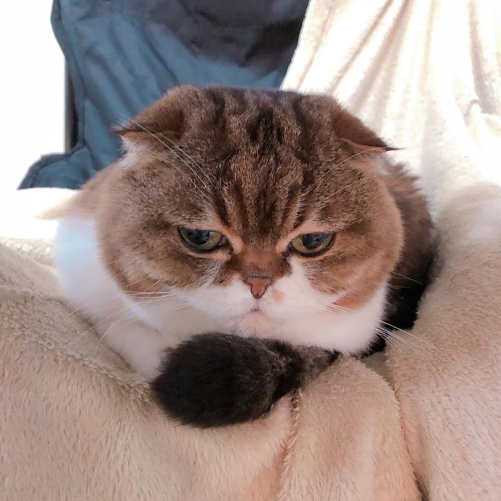 63d4ebd3 c305 4fc2 99c2 2f0a64222da8 1554098033665