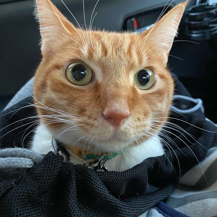 63d5182d 1532 46ae 8904 3ba57ec11602 1651826465921