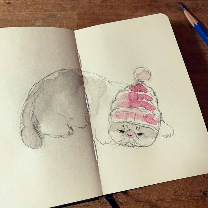 63d534b9 0bcb 4eaf b726 49735017b24d 1643112081233