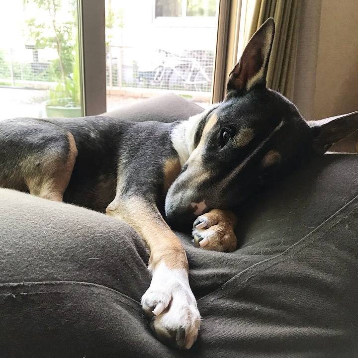 63d53668 f10c 4046 9e6a 949bf1f0adf8 1527833732300