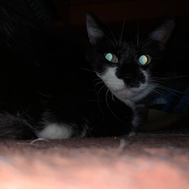 63d566ea e6a9 44f2 9aa1 b030d1c55848 1577402290065