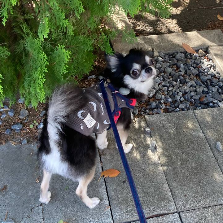 63d5a23e 86af 496e b6c8 d6af69a17b40 1697817115166