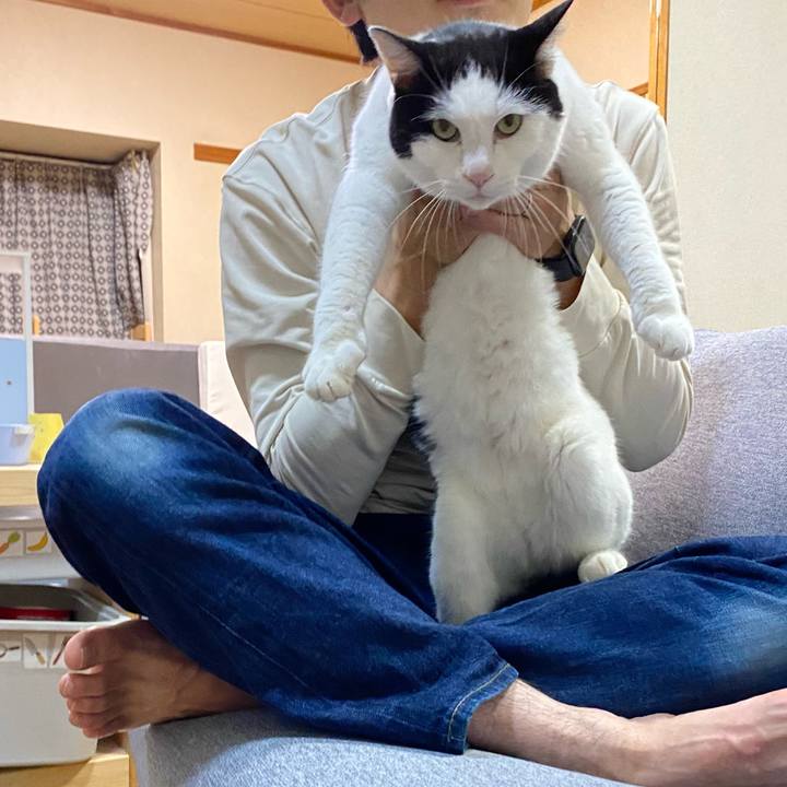 63d5a3e4 02da 4af4 90d6 a34450c63137 1668664842641