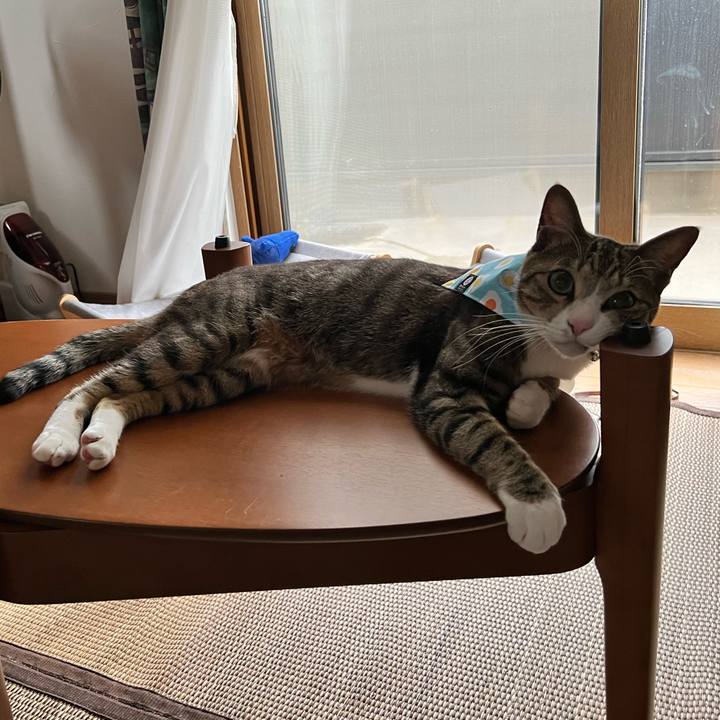 63d5c24d 1f8a 4769 992f 353df275a1bd 1730974612751