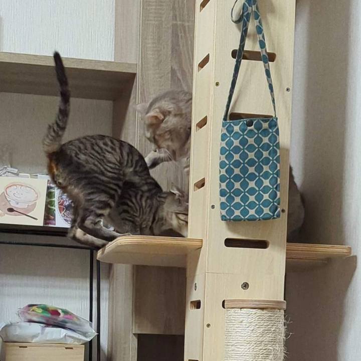 63d61d1c c7d7 4358 8edd 9d02becadab7 1705635460175