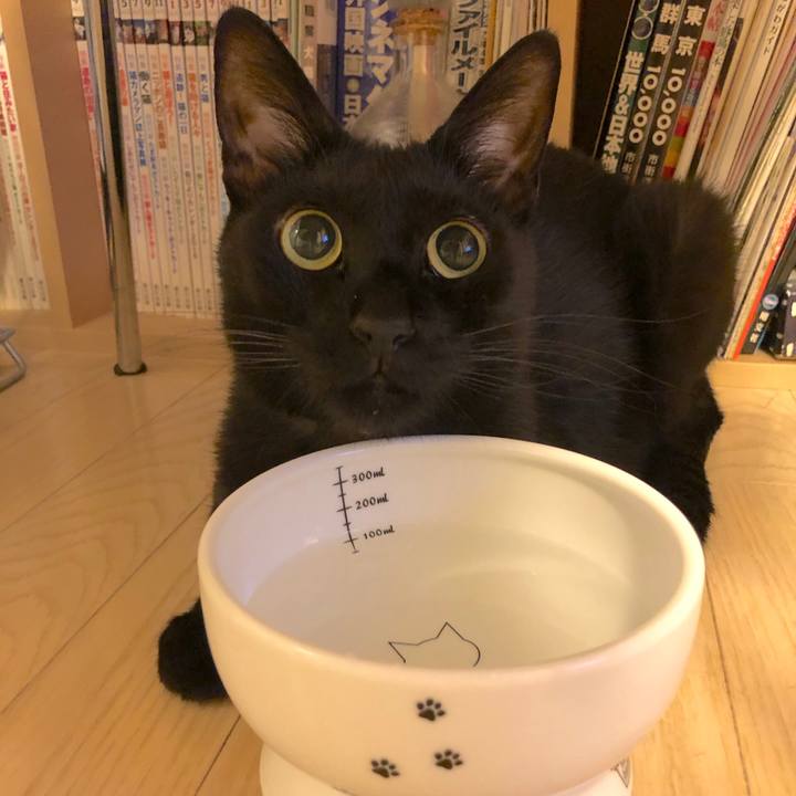 63d62f14 8e37 408e 8f0c 8d18ce812a3d 1531923437819