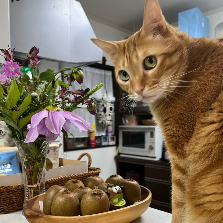 63d6493c 5f14 49ad bf33 22125df62b32 1637156493544