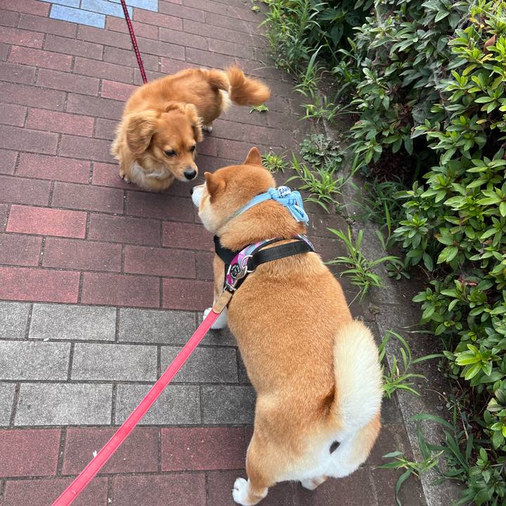 63d64d7b 591d 423a 9ea6 846b337ac979 1689810619607