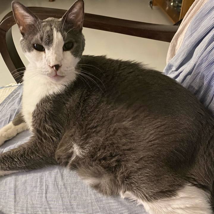 63d68627 5763 4a80 a2ec 802baf13182e 1756393090729