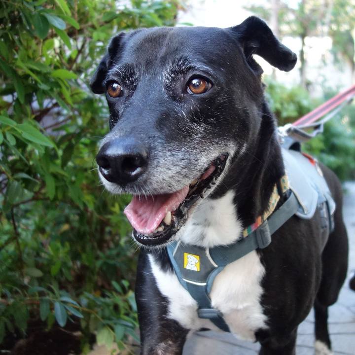 63d6a0c6 7f73 4087 b403 666db441e8f5 1731372971862