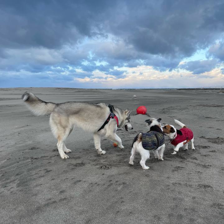 63d6a6ca e002 4d19 90b0 47c985a2f351 1672360265764