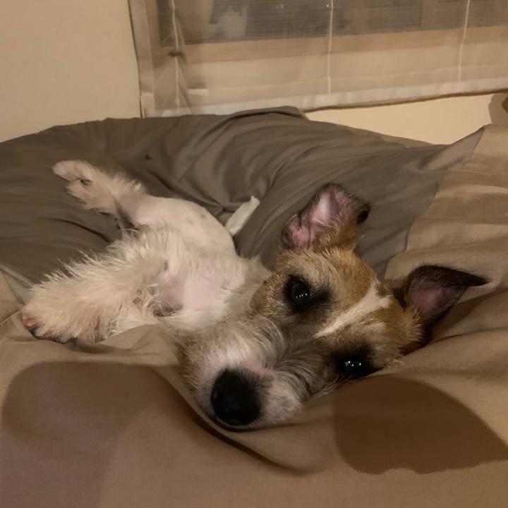 63d6ee66 653a 4046 8054 58bdd3dfb74e 1592141032142