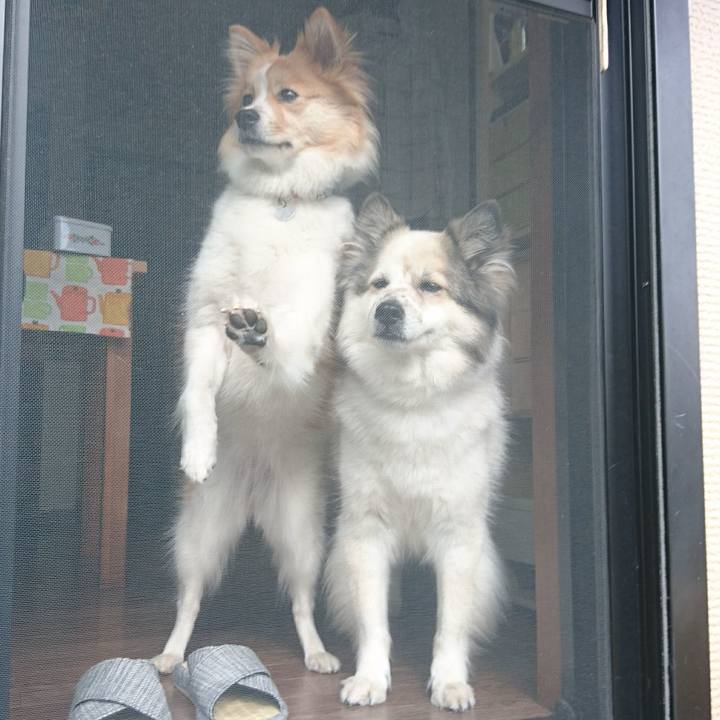 63d70344 ffae 4aa4 88fd 7ca571396cd4 1559563950119