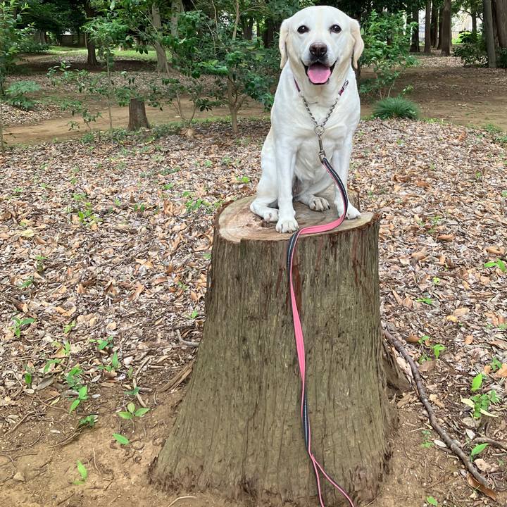 63d71103 628b 43ae a1b6 ab38a09ac4f9 1689373774675