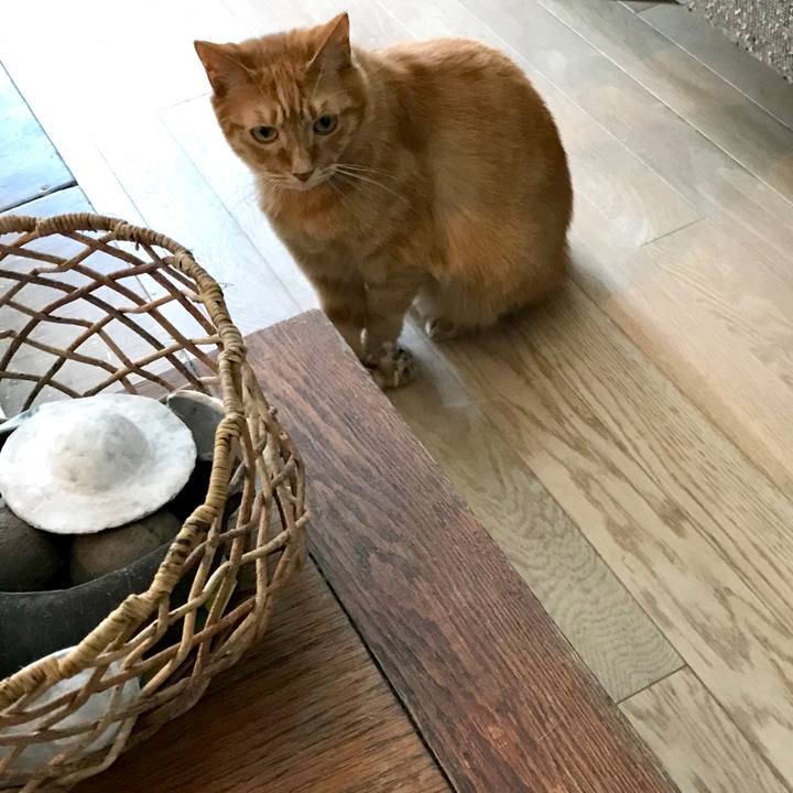 63d75749 429f 4703 a3b3 c4501590bfd9 1564878633288