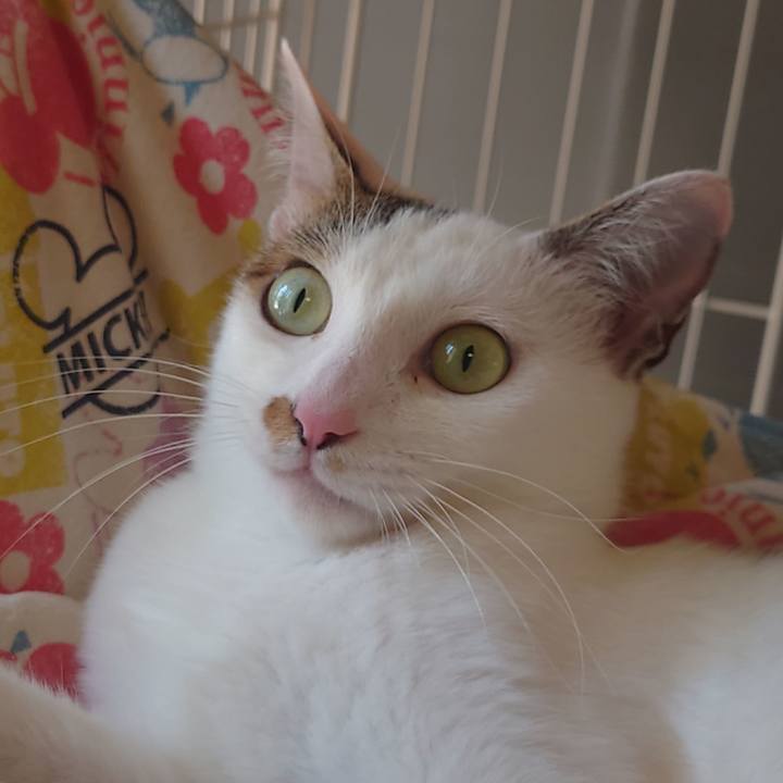 63d774e8 61d7 449c 90cd c793e65d3207 1690334094696