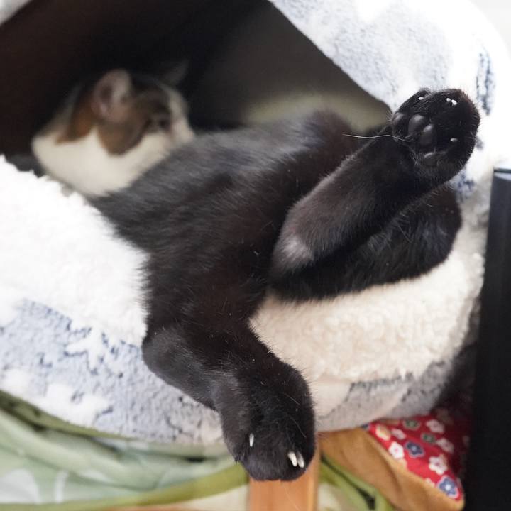 63d776f1 64ce 4426 9011 caf8b7f8e194 1610804371601