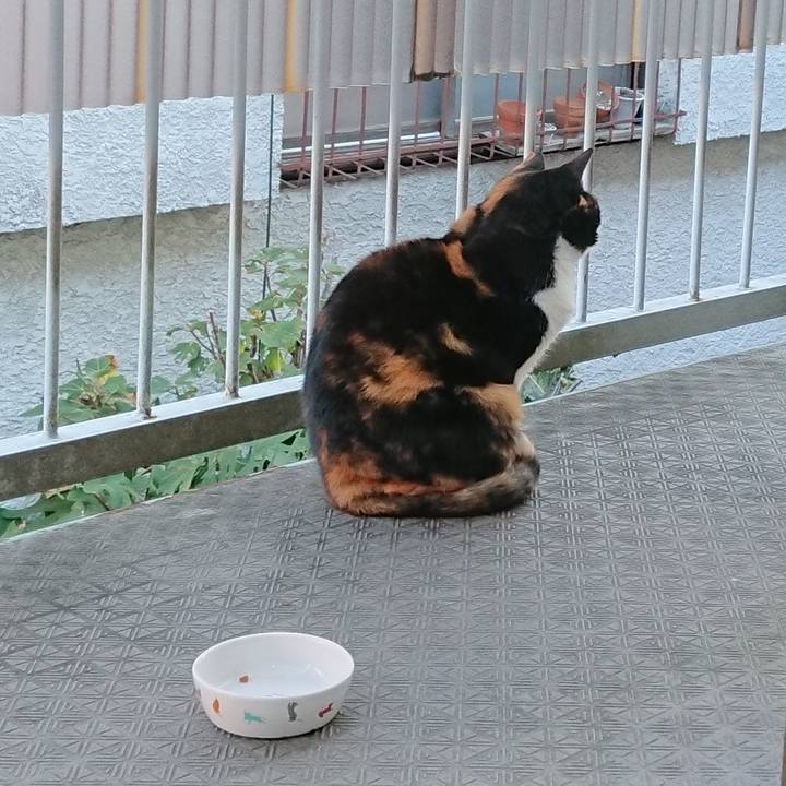 63d780ee 8798 45d3 9caf 1ce9f8f4c474 1666308217767