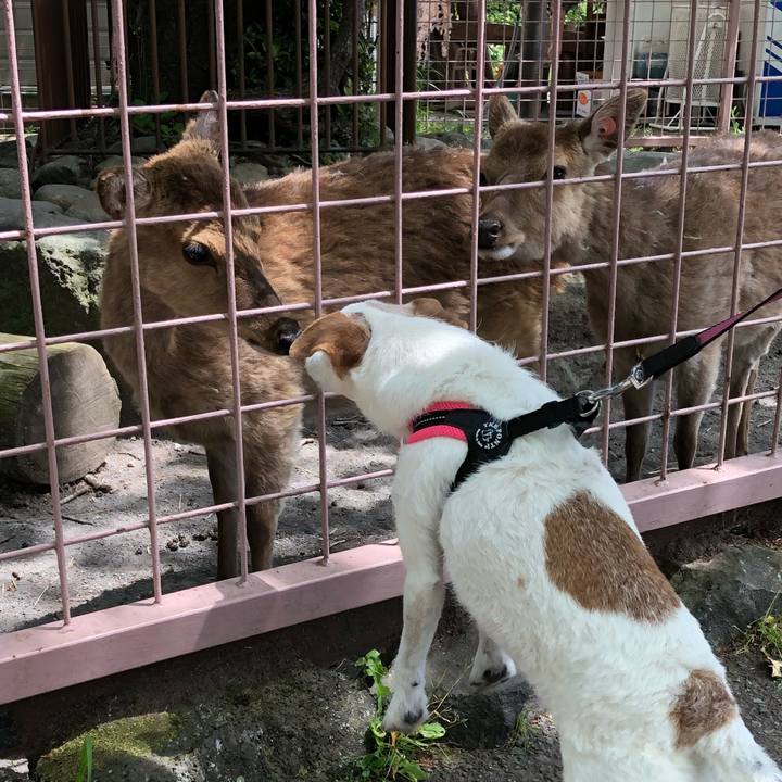 63d7b77a 6913 4a85 bfc1 2037965e0ce2 1525091600073