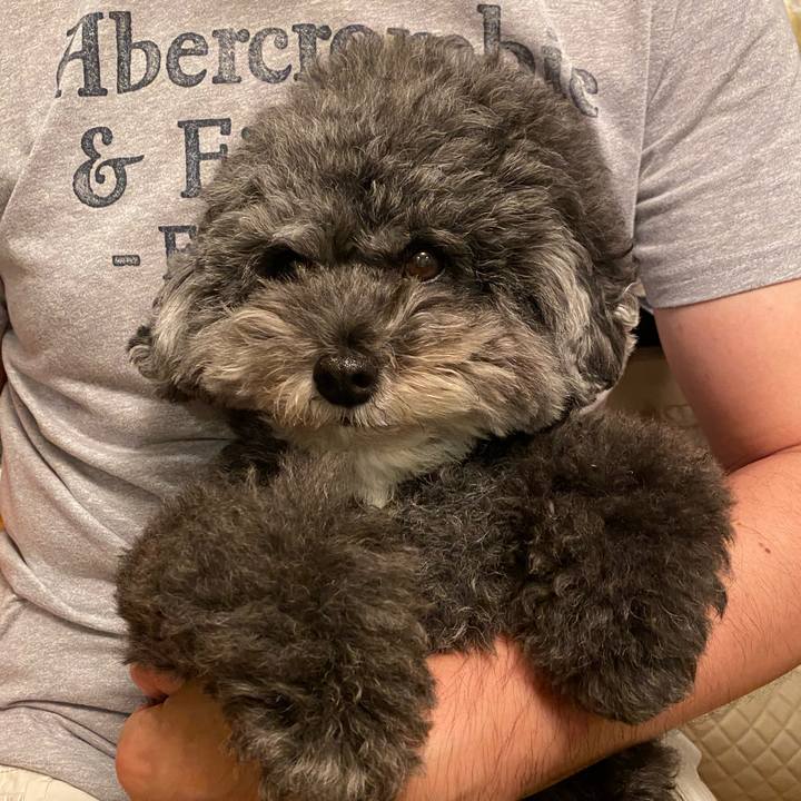 63d7d4ce ac55 4cb9 8d89 d361581df6d7 1633865760440