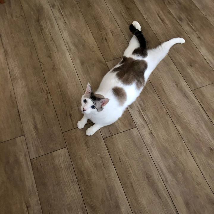 63d7fe27 7d1a 4492 8d08 d7feef6b6e08 1656944142175