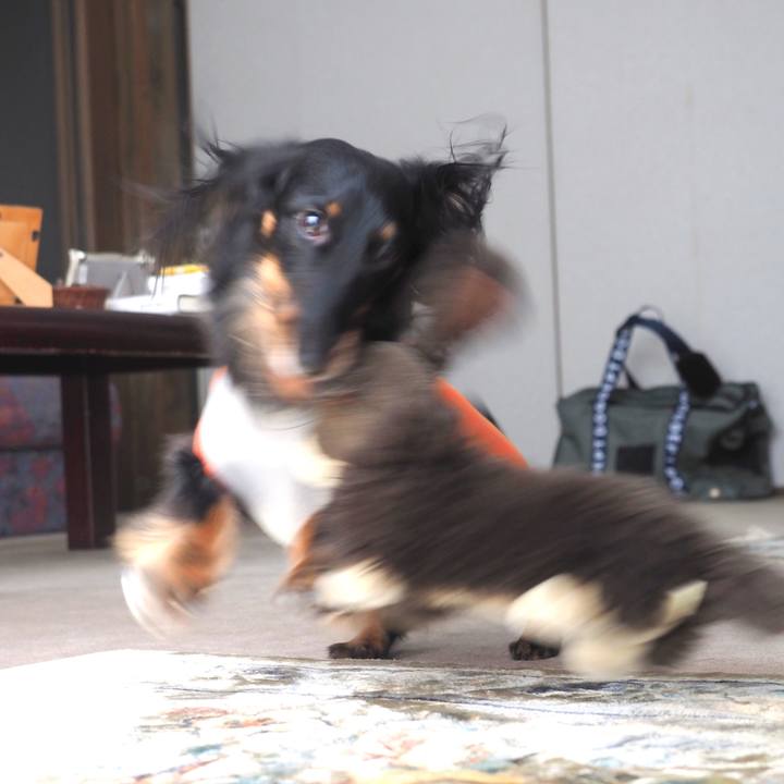 63d8097b 1438 4f6e 9475 1d31cf78e8e0 1614737001933