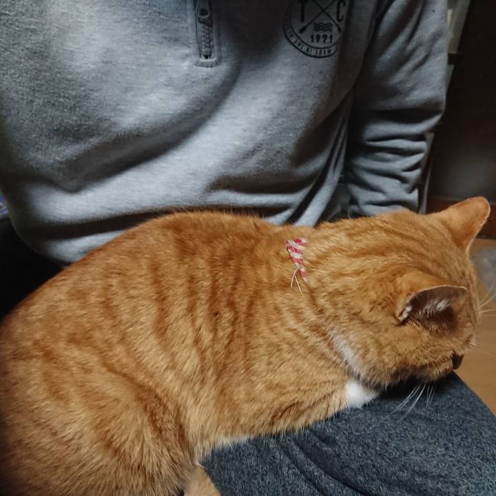 63d82692 c17a 491c 9c72 5693beea520e 1608064785449