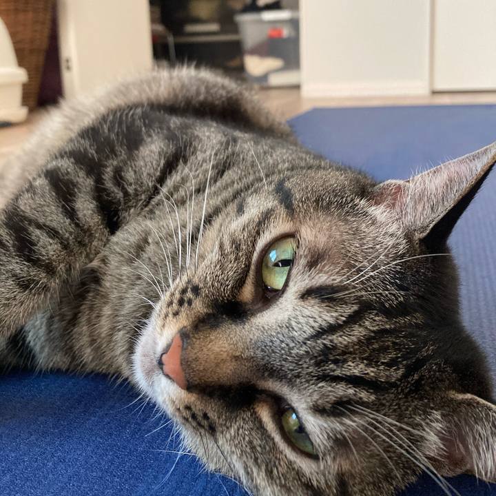 63d85570 256f 417a 8dc0 39b2d889318d 1598229815199