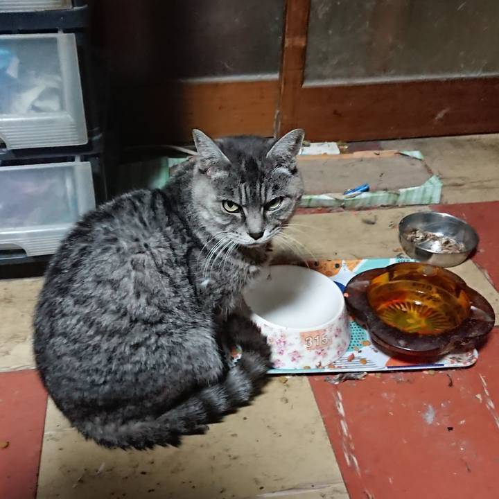 63d8659e b1cc 43a3 bcba cd5f6e248ed1 1574970500271