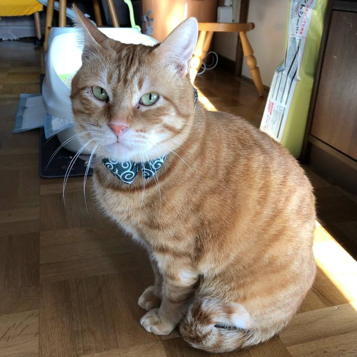 63d88857 a668 4c22 ab85 bf4d0617fe30 1553588003640