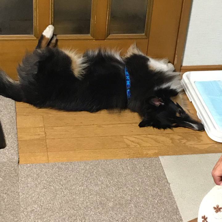 63d8921d df40 473d 910e a645bc080f4b 1539036603483