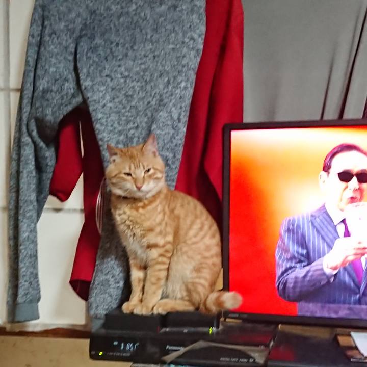 63d89f8b bd1b 4b2d aa84 90bed25f0eca 1647171485713