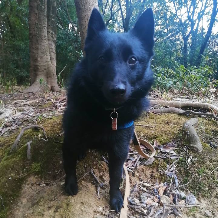 63d8a2d5 1a41 440b 91bc ddd7796ff68c 1614722724988