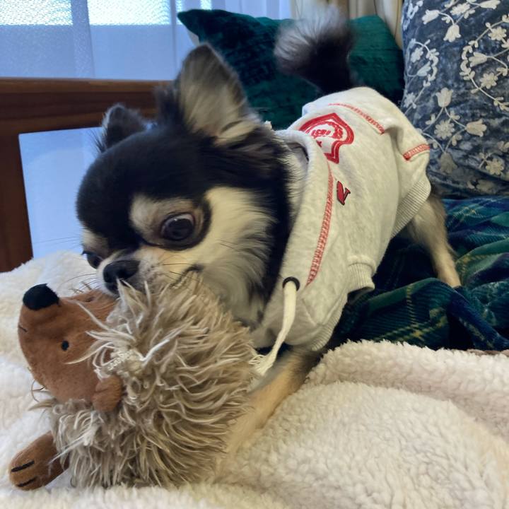 63d8aef4 142e 4934 b803 3257f7d399aa 1646544256151