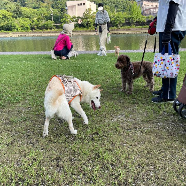 63d8dbea de85 4f2d 8749 eca02fdea5a5 1655904189246