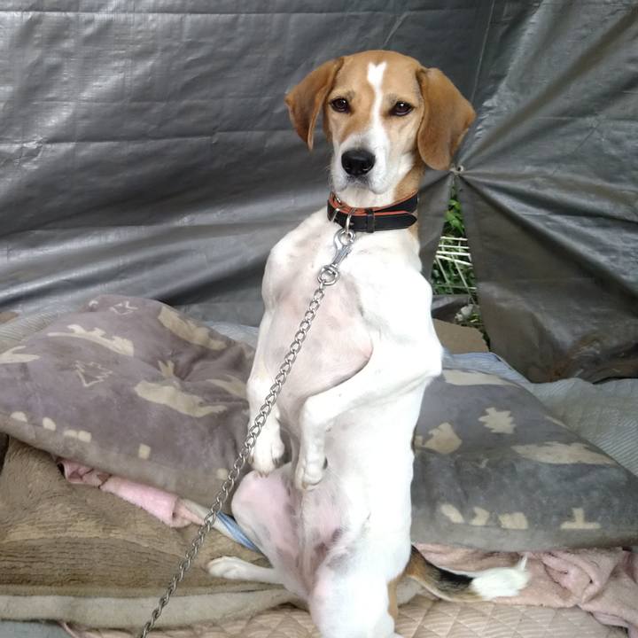 63d8ff84 2046 42c3 ac63 d92b68de9463 1634651284477