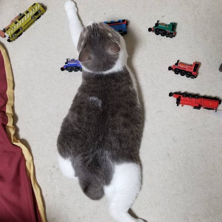 63d91141 0139 4c05 9527 b41c44525154 1542717765434