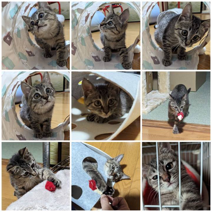 63d931dd 157a 4a28 a908 d7884093d4b7 1700380893995