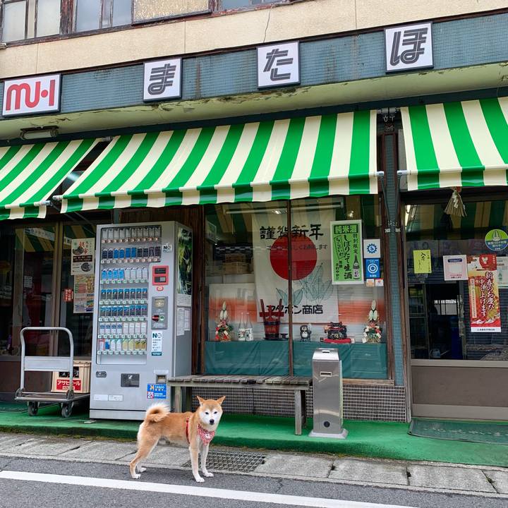 63d939ef ce4c 46ef a4af b71e45f0076d 1641200344491