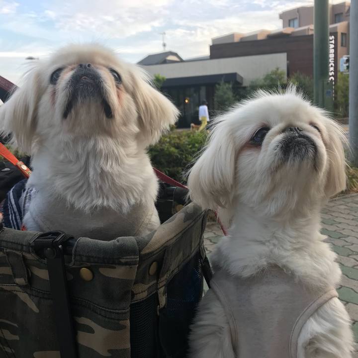 63d93be3 24ac 4bfb 8639 17a51b401ee3 1527424794791