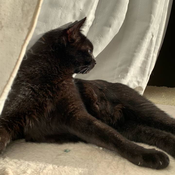 63d93d45 aa31 43f4 9f01 5d7fdf743adb 1574298233976