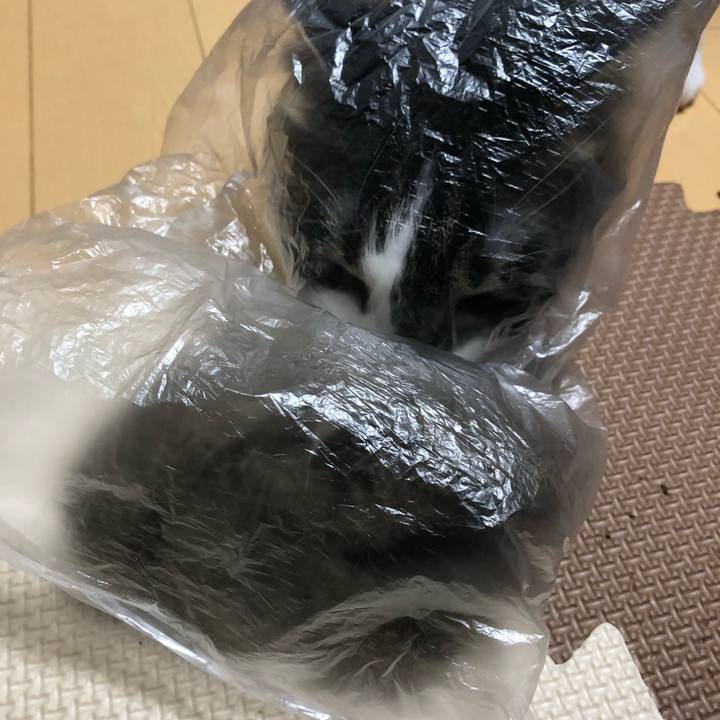 63d966f2 0d33 48ba 93af 546ff8766a2e 1522684269260