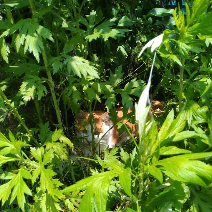 63d96807 b34b 48cc a100 26fc2a8cd972 1749436575182