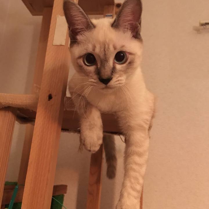 63d96f7f f5d7 4069 82d2 266fac13c740 1537971289413