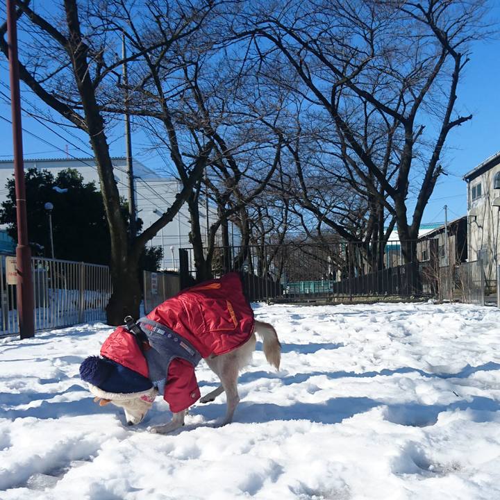 63d996d1 6ab8 43ec 8b82 5f0dd18a18cd 1534897159828