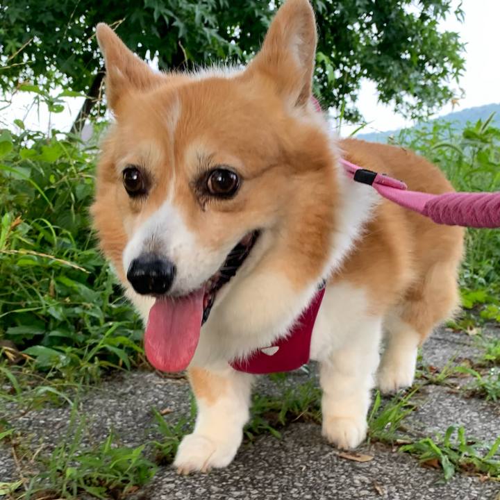 63d9e00f 854b 4802 87e3 1756600bf52b 1720217270240