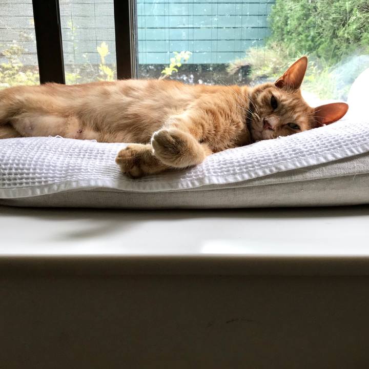 63da67b9 788a 426c b557 df13827ce6b8 1569828788577