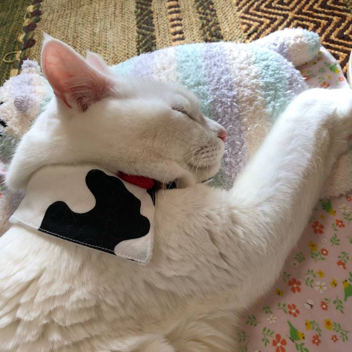 63da684d a465 4d0b 9960 fc7676f8b4ca 1607140046172