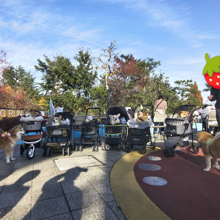 63daa4d3 b01b 4a9d b0cc bf4f80ed10dc 1763947049327