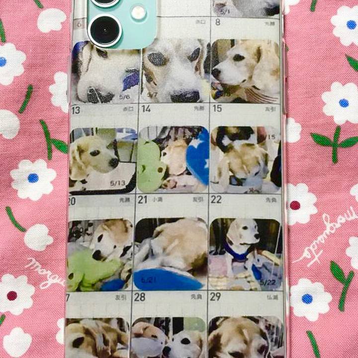 63dac1d8 e5af 4272 8c15 b0194d368e08 1579996008336